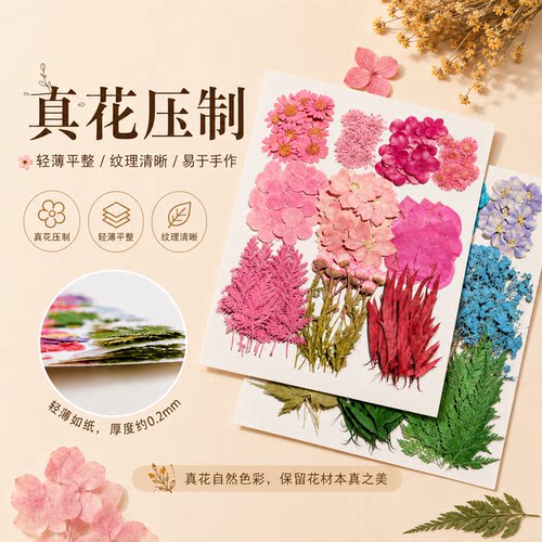 大花材包 押花材料包 植物标本研学活动材料 180朵+花材包 - 图0