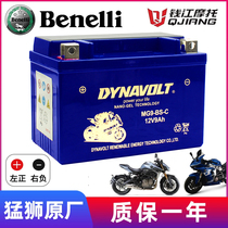 Original factory Qianjiang Motorcycle chasing 350600 race 250500 Hongyi 550 The 300 Lions Lions 300 Lions Lions are exempted from the maintenance of the battery