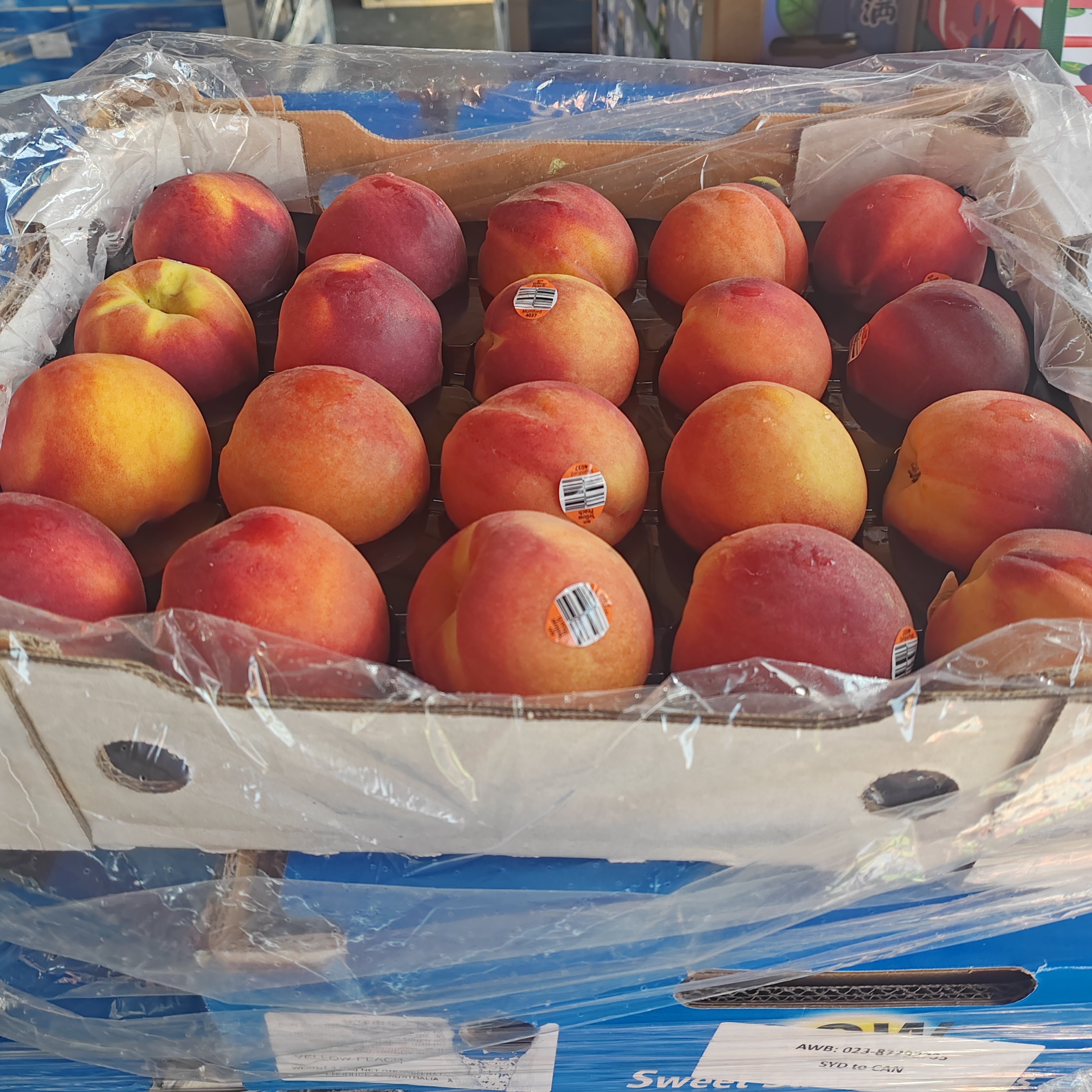 现货当季澳洲黄肉水蜜桃毛桃脆皮香甜桃子新鲜进口水果发顺丰,淘宝优惠券,粉丝福利购,淘宝优惠卷