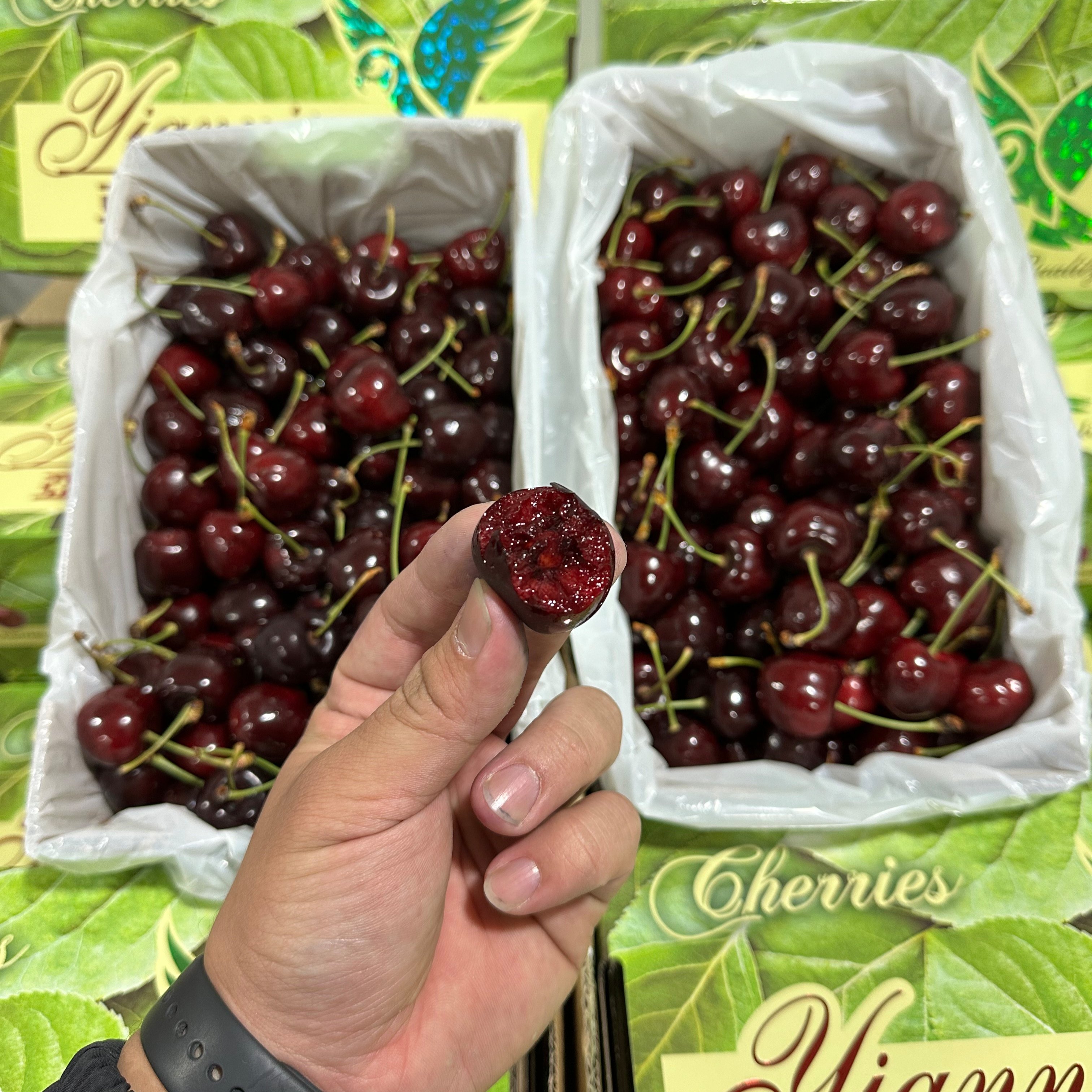 （礼盒送礼）新西兰亚尼士车厘子4斤原箱当季新鲜樱桃进口水果,淘宝优惠券,粉丝福利购,淘宝优惠卷