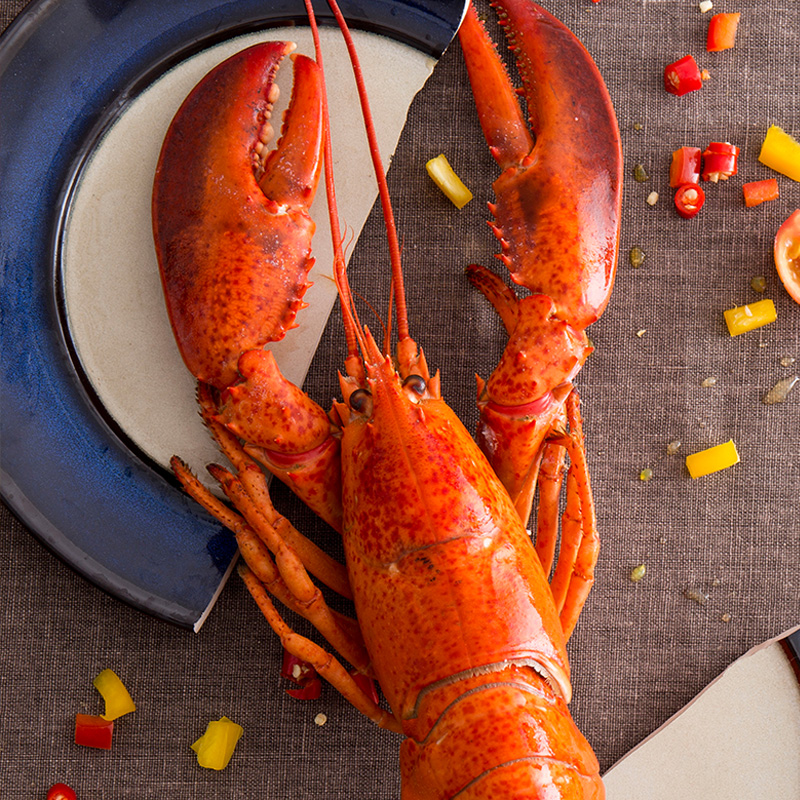 味库海鲜【推荐装】味库活龙虾波士顿龙虾鲜活大龙虾1-10斤特大波龙澳龙2