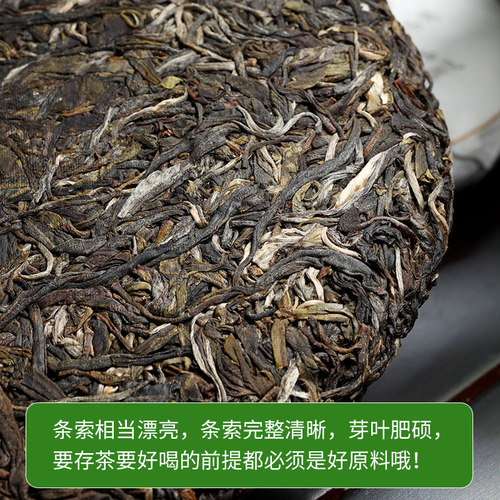 2021年古树普洱茶春茶500年以上古茶陈静号 茶叶头春茶代表作357g - 图2