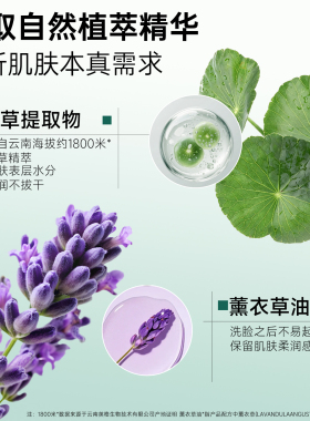 植物医生积雪草洗面奶敏感肌专用