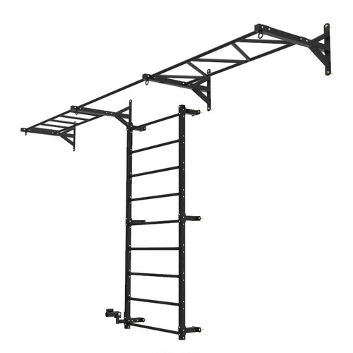 东际 室内壁挂云梯攀爬架 TRXD综合力量训练架 墙体单杠引体向上 - 图3