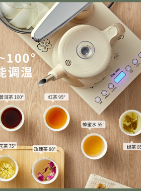 安博尔茶台烧水壶全自动泡茶专用