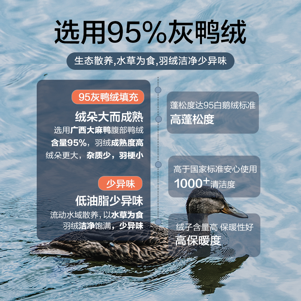 博洋羽绒被95灰鸭绒冬被加厚保暖冬季被芯春秋四季双人被子正品