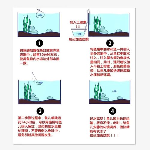 七星鱼幼苗月鳢鱼山斑鱼花星鱼观赏鱼雷龙鱼冷水鱼淡水活体包邮 - 图0