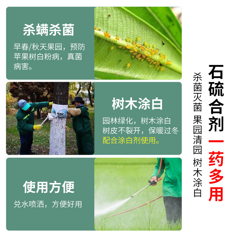 石硫合剂清园农药除介壳虫梨木虱叶螨红蜘蛛白粉病柑橘苹果清园剂