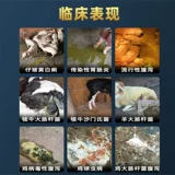 Пищеварение и рассылка дизентерии ветеринарной пероральной жидкости для ветеринарных свиней, крупного рогатого скота и овец, упрямой диареи, поросят, желтого и белого энтерит дизентерии