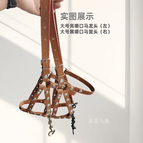 马具马术马笼头马笼套马嘴笼自带嚼子水乐牵马调教马龙头马匹装备 - 图1