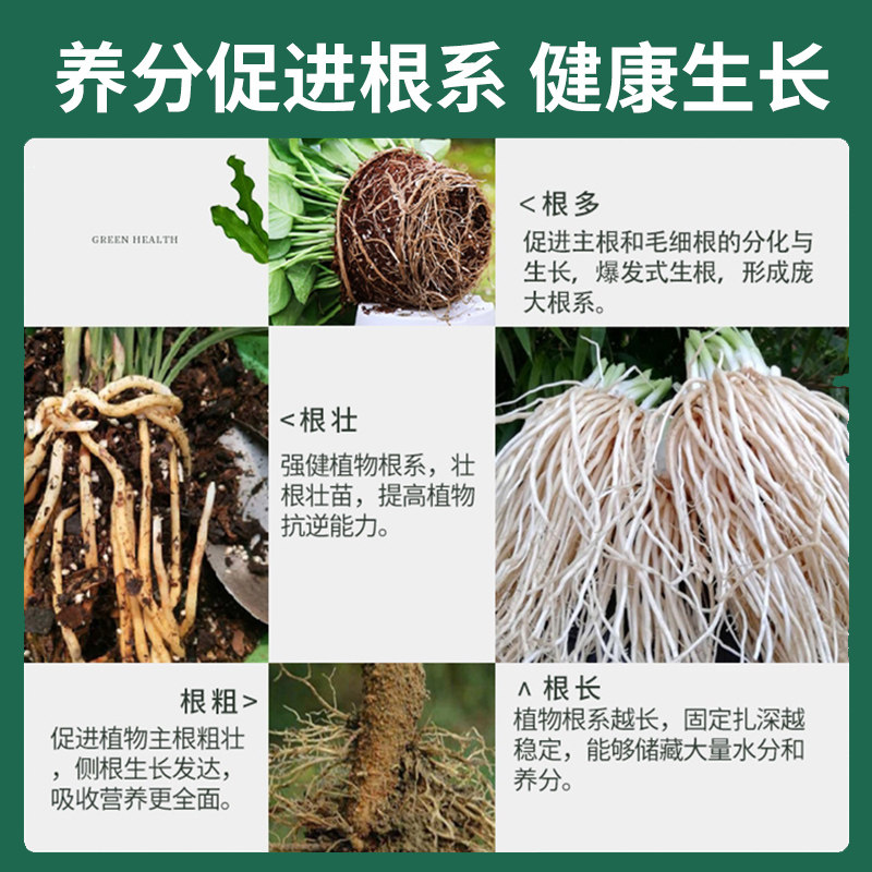 快速生根剂植物营养液生根壮苗剂专用大树绿植营养液花卉生根粉,淘宝优惠券,粉丝福利购,淘宝优惠卷