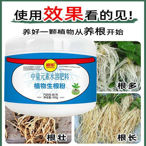 生根粉植物通用营养液快速移栽生根水发根剂液果树壮苗剂大树 - 图1