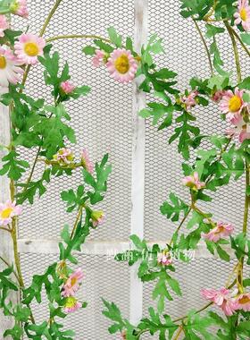 默涵仿真雏菊藤条阳台装饰假花藤