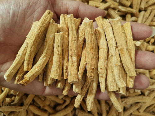 八百光人参进口加拿大须子花旗参丁根西洋参茶切片美国八佰光打粉 - 图2