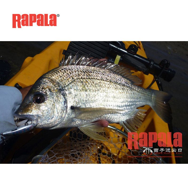 乐伯乐数秒Rapala路亚假饵缓沉远投溪流微物米诺翘嘴鲈军鱼鳜鱼饵,淘宝优惠券,粉丝福利购,淘宝优惠卷