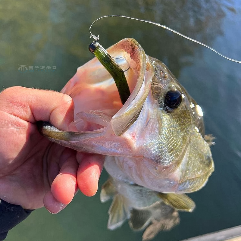 YAMAMOTO新款内德浮水面条虫软饵倒钓鲈鱼鳜鱼仿真虫黑坑路亚假饵 - 图2