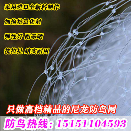 尼龙防鸟网白色农业果园果树天网葡萄鱼塘樱桃树枸杞农田防鸟用网 - 图2