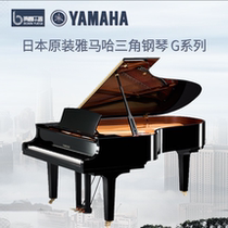 Japan Imports Solid Wood Second-hand Yamaha G2G2E G2G2E G3 G3E G3E Children Beginners Home Professional Triangle Piano