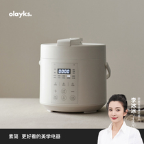 olayks Olek genuine original design voltage power cooker for home small mini smart 2L high pressure pan rice cooker