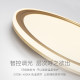 Xintele surround side light luxury ceiling lamp