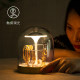 Xintele Crystal Confession Gift for Girlfriend DIY Recording Desktop Atmosphere Table Lamp Bedroom Girls Atmosphere Lamp