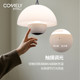 Xintele bedside chandelier with bluetooth speaker