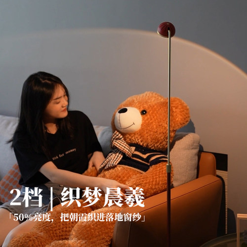 新特丽星座小圆帽落地灯沙发角氛围客厅高级感卧室立式床头角落 - 图2