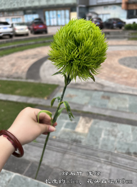 绿石竹绿色婚礼软装家居