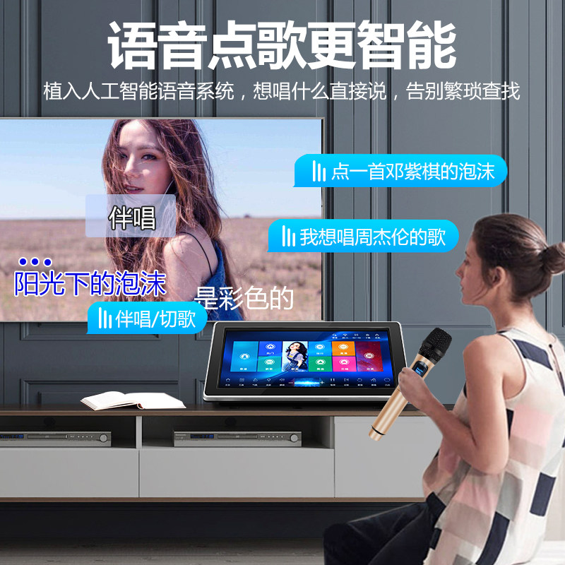  炫宝迪KTV/卡拉OK音箱