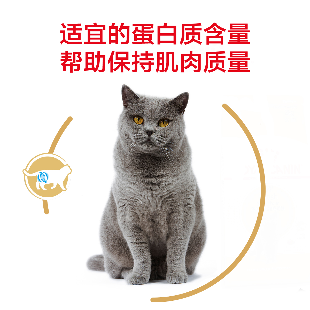 皇家英短专用成猫粮bs34蓝猫室内成猫10kg公斤增肥发腮营养猫主粮 - 图2