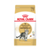 Royal Cat Food ASA31 Mỹ Short Cat Food 10kg American Shorthair Cat Main Grain - Cat Staples Có nên trộn 2 loại hạt cho mèo Cat Staples
