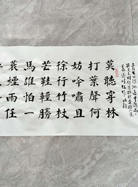 定风波 楷书 王忠华手写书法办公室客厅茶室大厅等装饰书法字画
