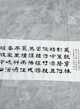 定风波 隶书 王忠华手写书法办公室客厅茶室大厅等装饰书法字画
