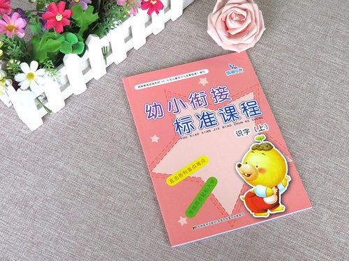【满45包邮】晨曦早教幼小衔接标准课程识字上册小学入学准备幼儿园学前教育3-6-12岁少儿一日一练学前班教材 - 图0