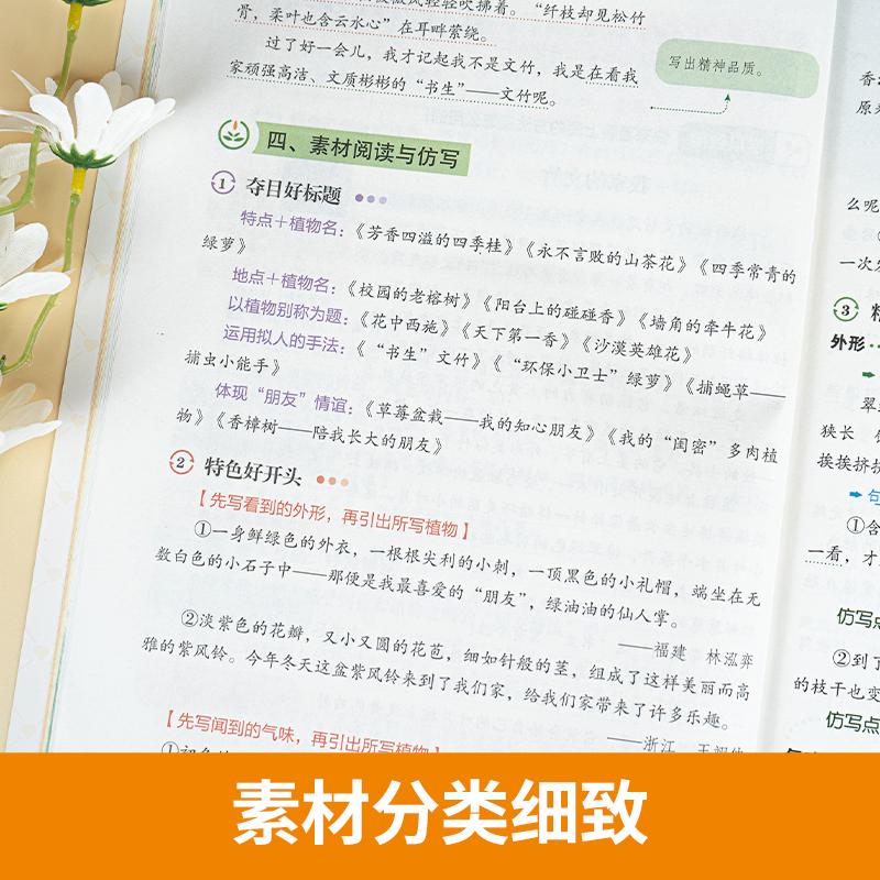 2024新版小学三年级下册同步作文部编人教版 3年级语文作文同步训练习辅导资料教材开心作文全解书课堂优秀作文选范文素材作文大全-图3