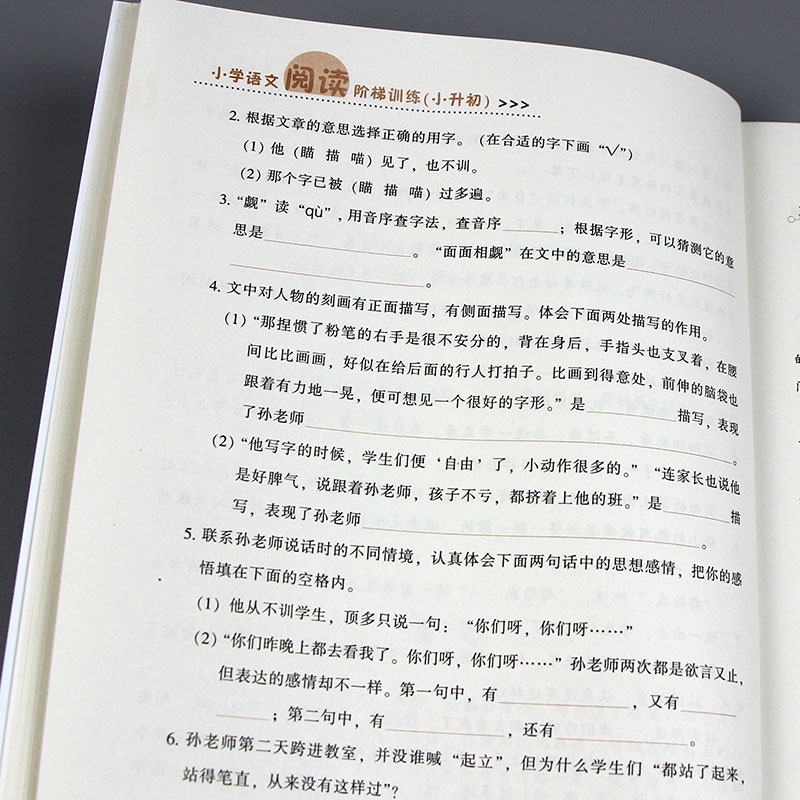 小升初语文阅读阶梯训练 小学六年级升初中短文训练题 知识大集结 专项训练 人教版真题演练达标测试实战小升初语文阅读理解总复习 - 图2