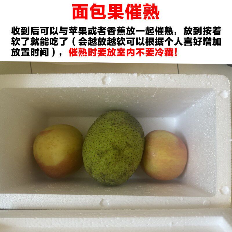 网红面包果新鲜当季现摘面包树果实罕见稀有热带水果猴面包果鲜果