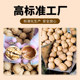 纸皮核桃2025新货新疆阿克苏薄皮孕妇专用生核原味正宗官方旗舰店