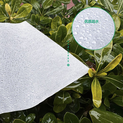 桃子套袋专用袋黄桃袋桃子纸袋黄桃水蜜桃纸袋防虫水桃袋白色 - 图2