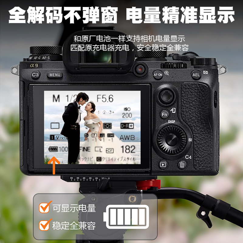 雷摄NP-FZ100相机电池 适用索尼sony A7M3 A7M4 A7R3 A7R4 A6600 A9M2 A7C A73 A7C2 FX3 单反相机充电器配件 - 图0