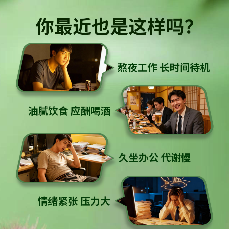 NCpro澳洲进口奶蓟草解酒应酬熬夜家庭常备水飞蓟胶囊肝营养200粒