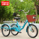 Feige adult self-propelled leisure mobility tricycle