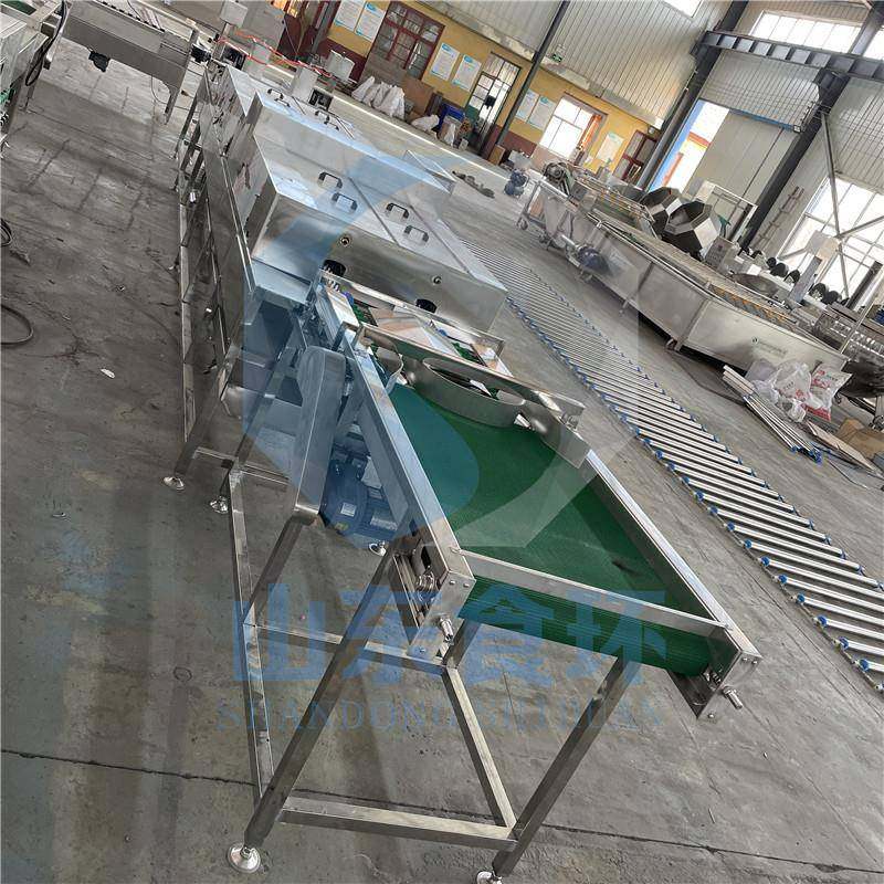 全自动保洁蛋清洗机蛋品清洗机洗蛋机不锈钢保洁蛋清洗设备,淘宝优惠券,粉丝福利购,淘宝优惠卷