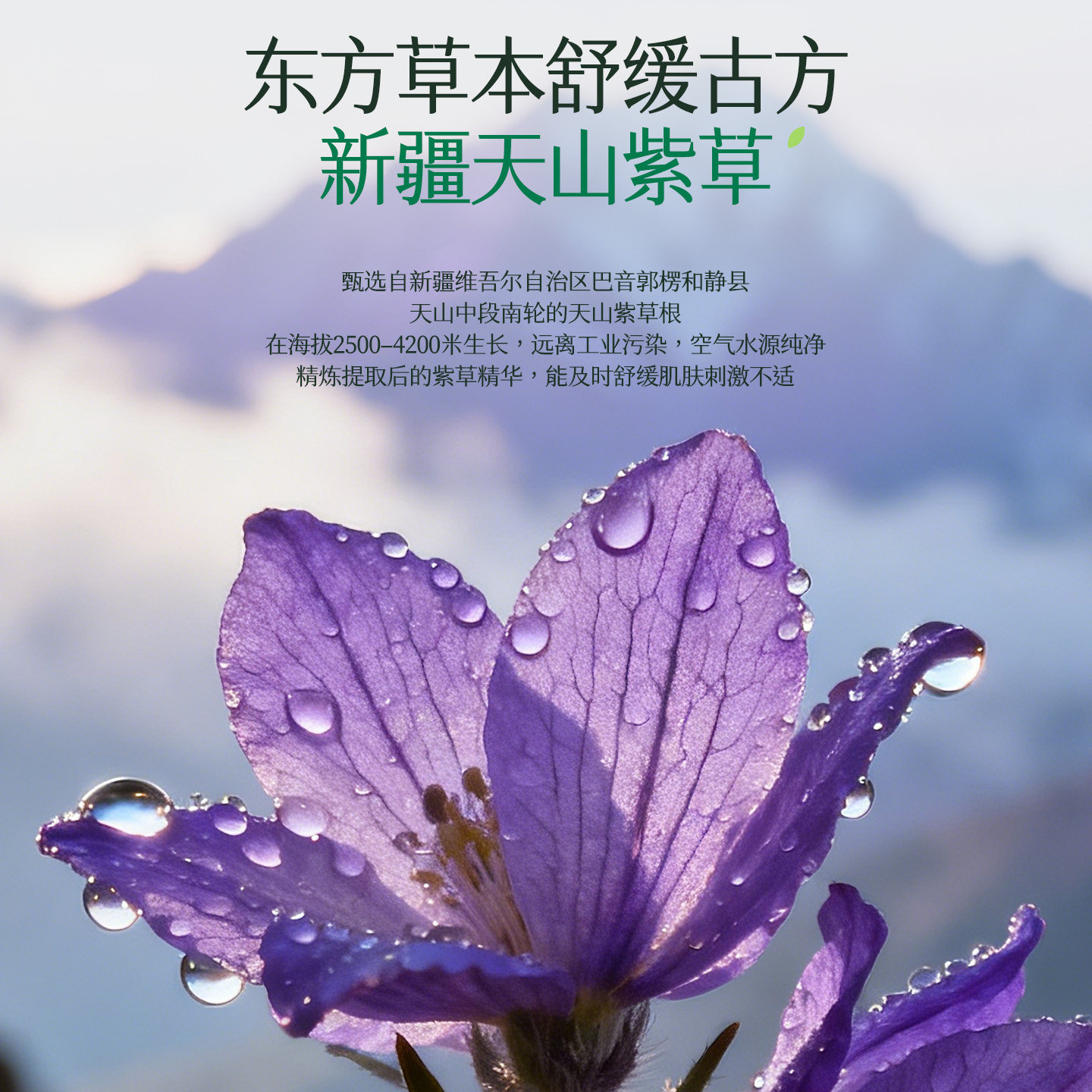 植物主义紫草膏婴儿宝宝蚊虫蚊子叮咬止痒儿童青草膏舒缓棒专用