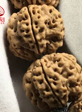 毕业级爆肉蜂窝大金刚菩提佛珠