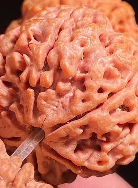 六星头六星蜂窝双龙纹