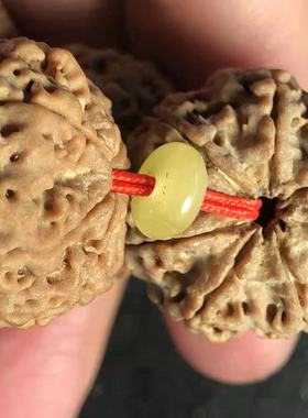 弥刻7瓣25mm手持文玩尼泊尔大金刚蜂窝满肉飞碟桩菩提子手串蜜蜡