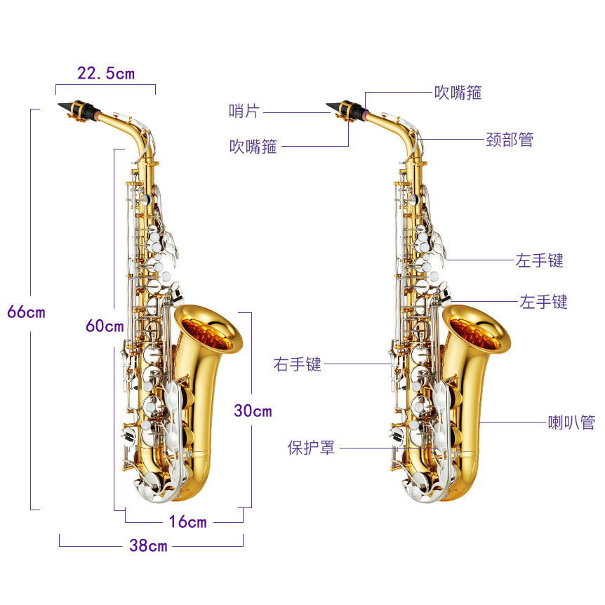 雅马哈萨克斯YAS-26标准型初学中音降E调儿童考级教学专业演奏 - 图2