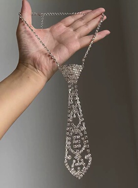 欧美时尚镶钻领带项链女长款流苏吊坠颈链轻奢高级感锁骨链