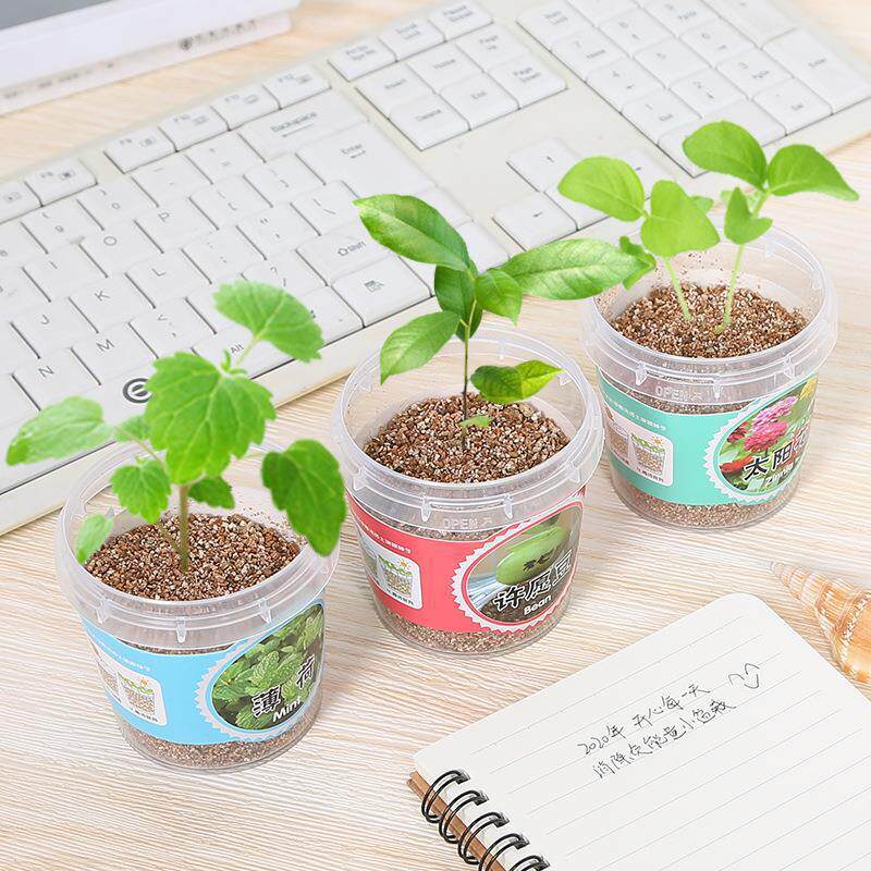 开业促销奖品可爱创意儿童小礼品2元以下新奇特全班生日分享礼物